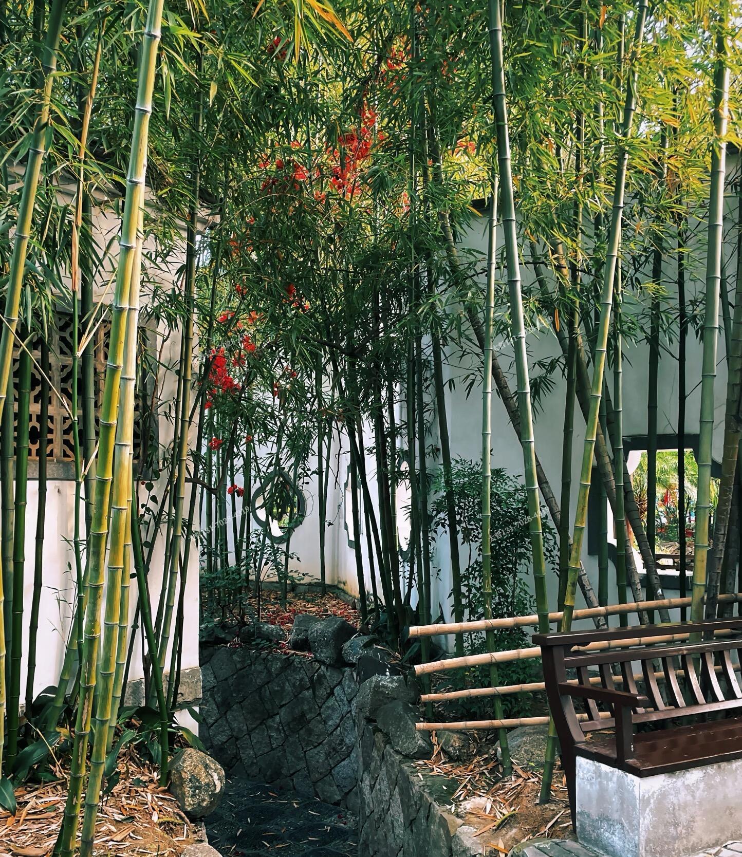 茶亭公園長(zhǎng)廊設(shè)計(jì)場(chǎng)景方案